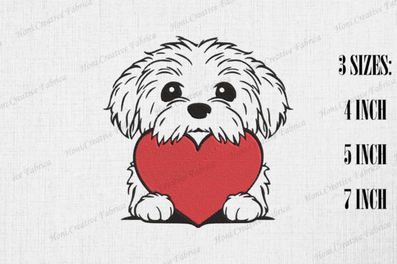 Cute Havanese Peeking from Heart Review